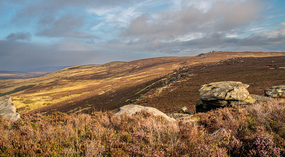 Back Tor